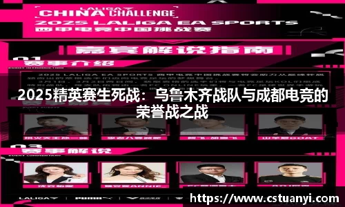 2025精英赛生死战：乌鲁木齐战队与成都电竞的荣誉战之战